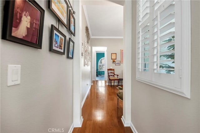 hallway featuring crown molding, baseboards, and wood finished floors