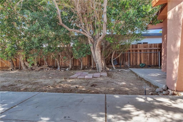 view of yard featuring a fenced backyard and a patio