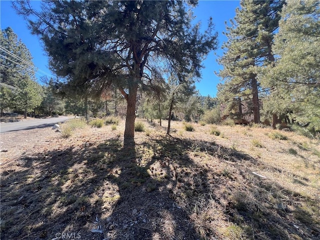 1805 Woodland Dr, Pine Mountain Club CA, 93225 land for sale