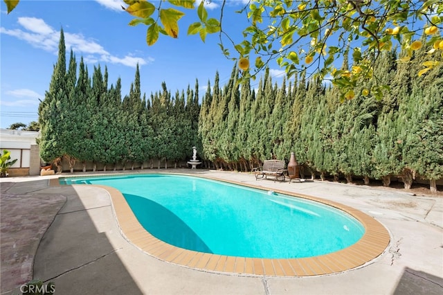 view of pool with fence private yard and a patio area