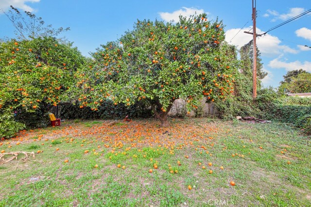 17520 Kingsbury St, Granada Hills, CA 91344 - photo 48