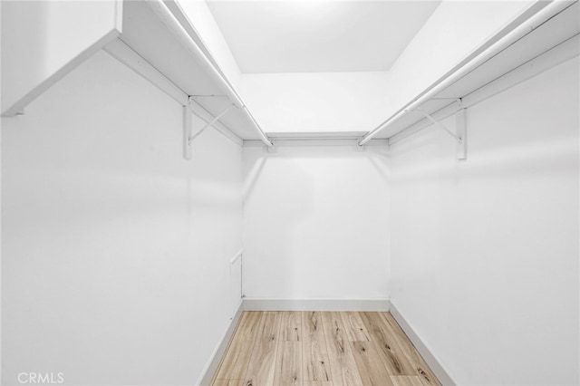 spacious closet featuring light wood-style flooring