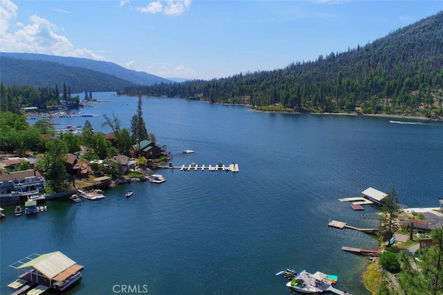 40505 Saddleback Rd, Bass Lake, CA 93604 - photo 39