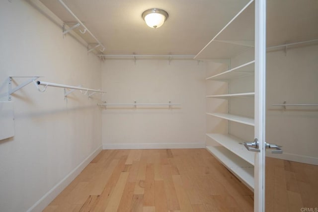 walk in closet featuring wood finished floors