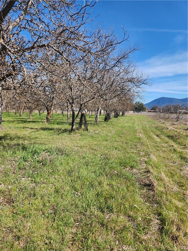 1665 Big Valley Rd, Lakeport, CA 95453