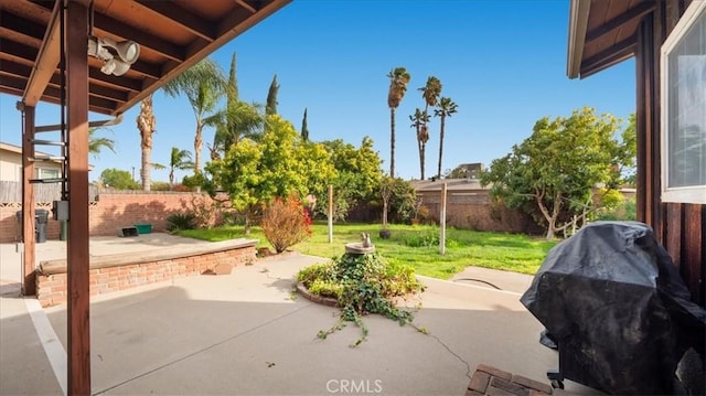 view of patio / terrace with a fenced backyard and grilling area