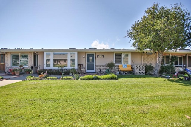 ranch-style house featuring a front lawn and stucco siding