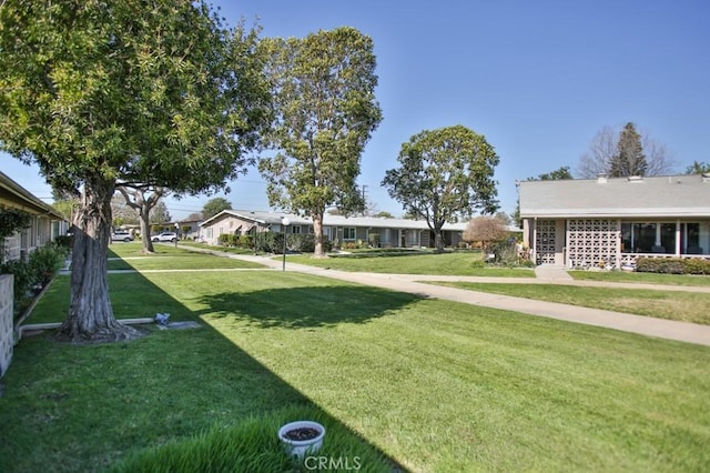 view of community with a lawn
