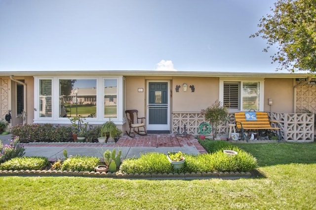 view of front of home with a front lawn and stucco siding