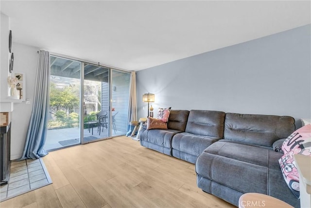 living room with a wall of windows and light wood-style floors