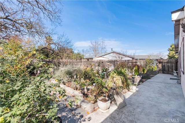 view of yard featuring a patio area and a fenced backyard