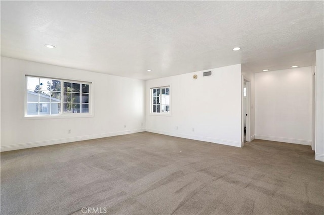 empty room featuring carpet floors, a healthy amount of sunlight, and a textured ceiling