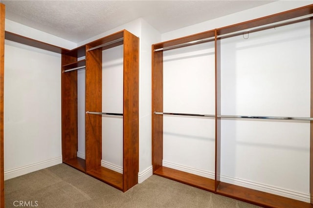 walk in closet with carpet floors