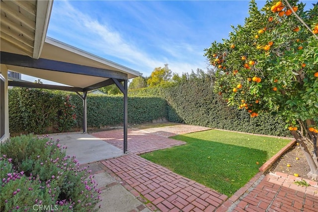 view of yard featuring a patio area and a fenced backyard