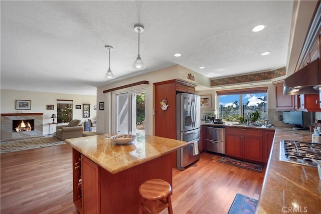 kitchen with appliances with stainless steel finishes, light wood-type flooring, a fireplace, and a sink