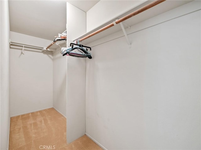 walk in closet with light colored carpet