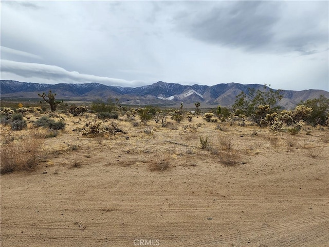 500 Santa Rosa Rd, Lucerne Valley CA, 92356 land for sale