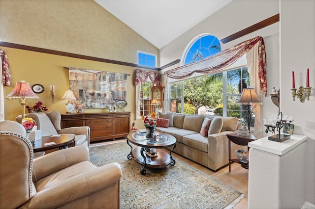 living room featuring high vaulted ceiling and light wood-type flooring