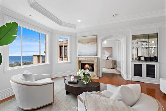 50 Pelican Crest Dr, Newport Coast, CA 92657 - living area with a warm lit fireplace, baseboards, a raised ceiling, ornamental molding, and wood finished floors