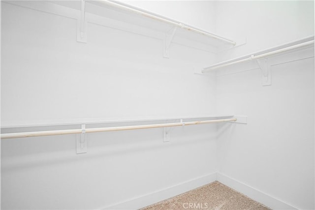 spacious closet with carpet flooring