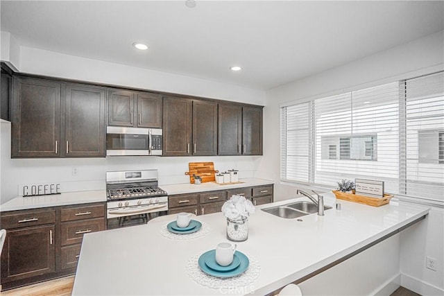 kitchen featuring stainless steel appliances, light countertops, a sink, and dark brown cabinets