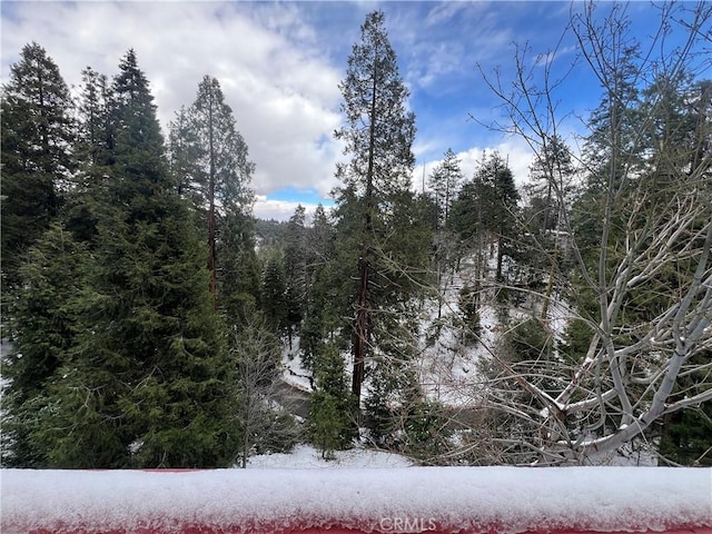 view of local wilderness featuring a forest view