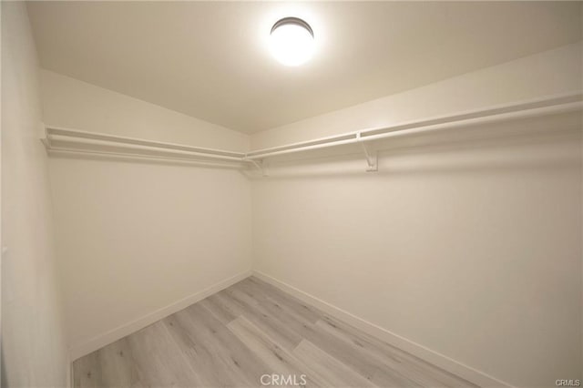 spacious closet featuring light wood finished floors