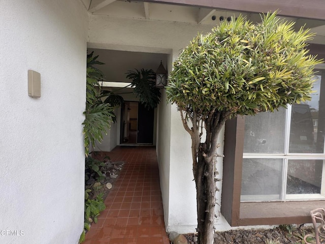 view of exterior entry featuring stucco siding