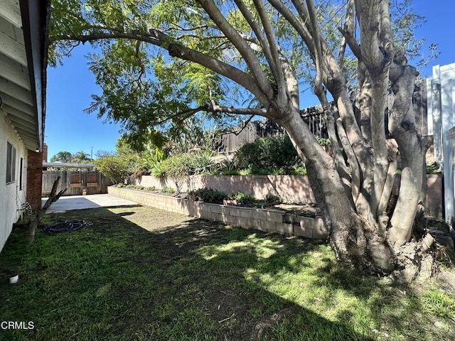 view of yard featuring a patio area and a fenced backyard