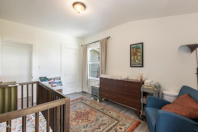 bedroom featuring lofted ceiling, a closet, and wood finished floors