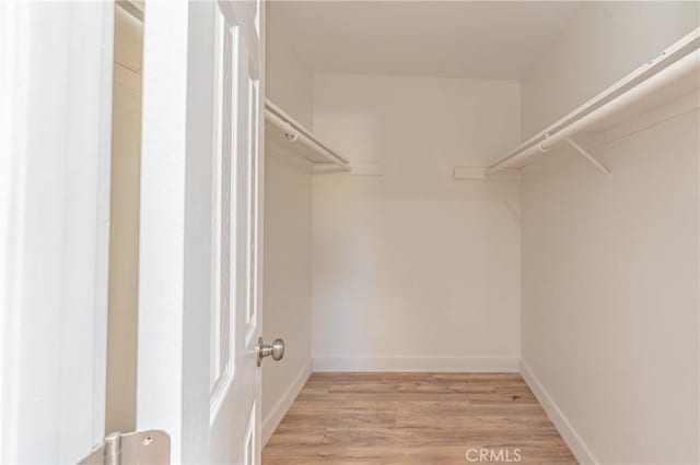 walk in closet with light wood-type flooring