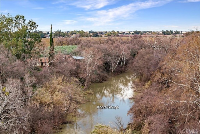 view of local wilderness