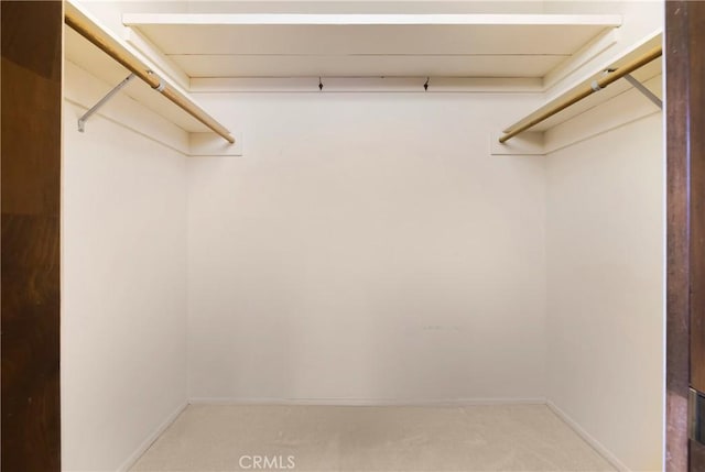 walk in closet featuring light colored carpet