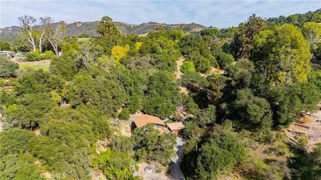 drone / aerial view with a mountain view and a view of trees