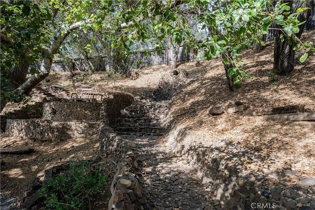 view of local wilderness