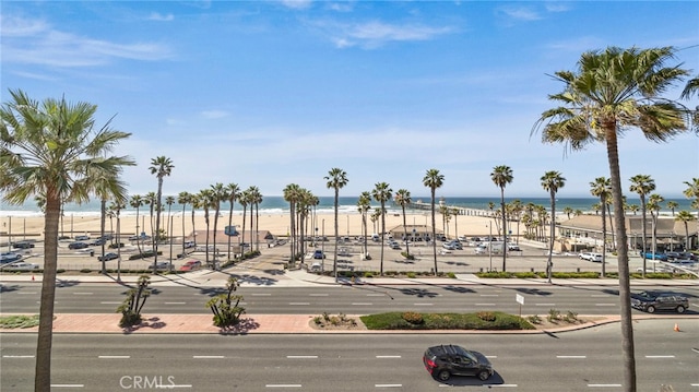 water view featuring a beach view