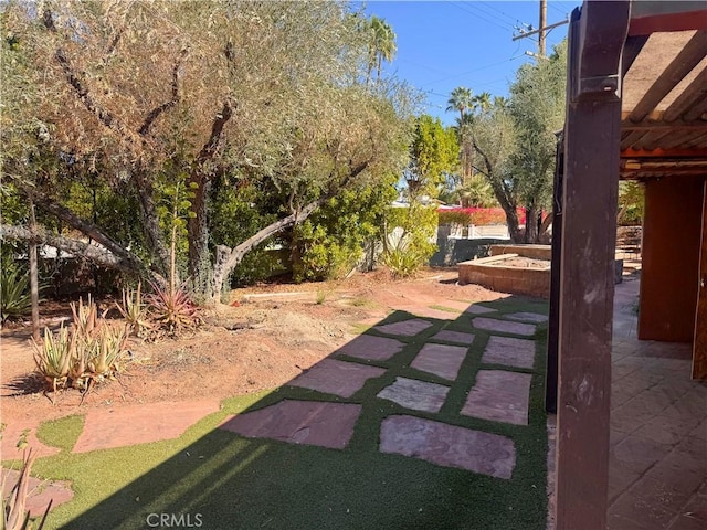 view of yard featuring a patio