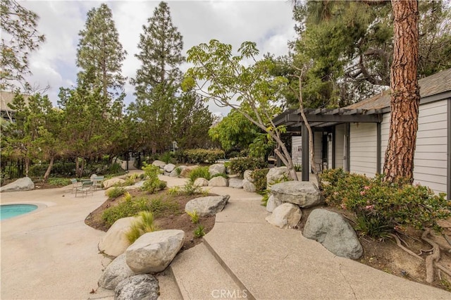 view of yard featuring a patio area