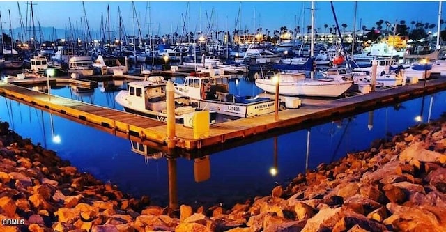 dock area featuring a water view