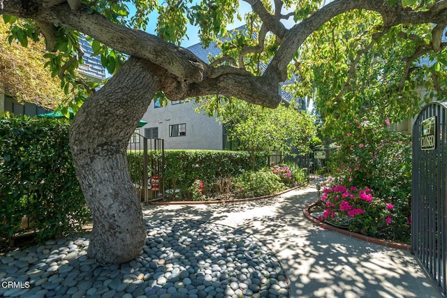 view of patio / terrace with a gate and fence