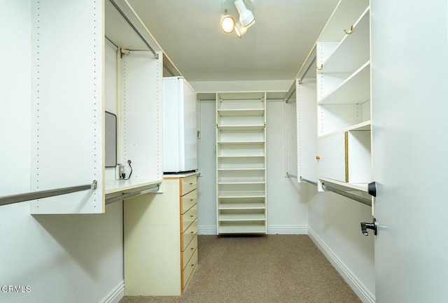 walk in closet with carpet floors