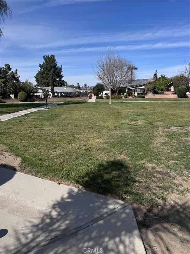 view of yard