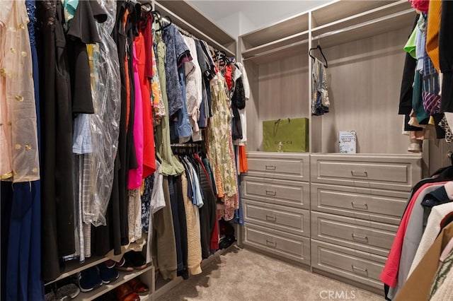 spacious closet with carpet floors