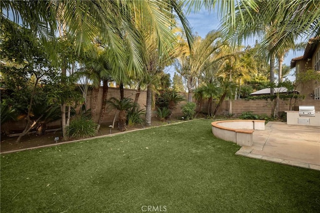 view of yard featuring a patio area, a fenced backyard, and an outdoor kitchen