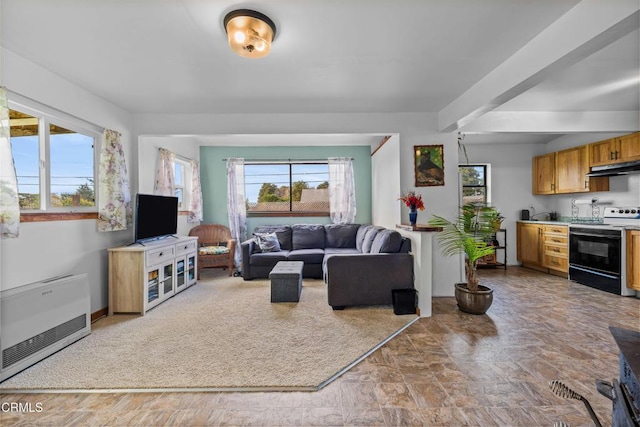 living area featuring stone finish floor and heating unit