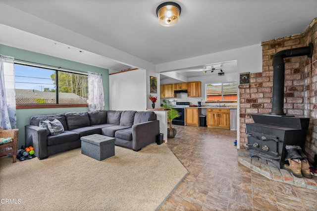 living area featuring a wood stove