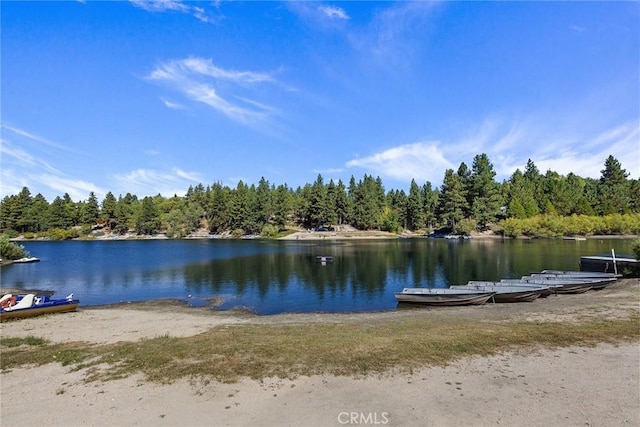 33492 Wild Rose Dr, Green Valley Lake, CA 92341 - view of water feature featuring a boat dock and a forest view