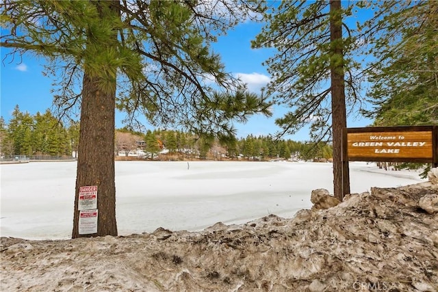 33492 Wild Rose Dr, Green Valley Lake, CA 92341 - view of yard layered in snow