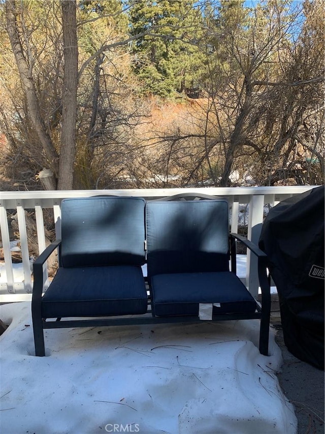 33492 Wild Rose Dr, Green Valley Lake, CA 92341 - exterior space
