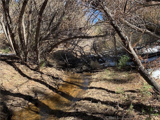 33492 Wild Rose Dr, Green Valley Lake, CA 92341 - view of nature